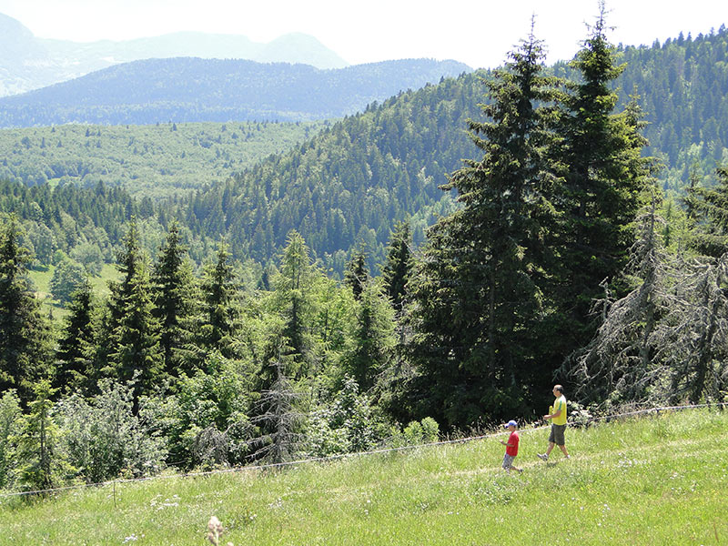 randonnée pédestre, à cheval ou à vtt, parapente, piscine,Hotel bar restaurant deux étoiles Notre Dame des Neiges situé à la féclaz dans le massif des bauges